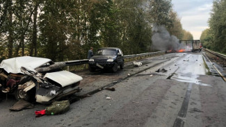 Появились фото загоревшейся фуры после смертельного ДТП в Воронежской области