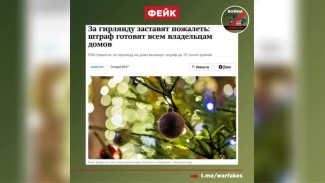 В Воронеже разоблачили фейк о штрафах за новогодние гирлянды