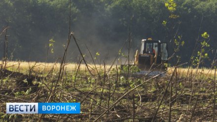 Воронежский фермер ответит в суде за угодившее под ковш бульдозера древнее городище