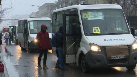 Мэрия Воронежа выставила на торги 120 городских маршрутов