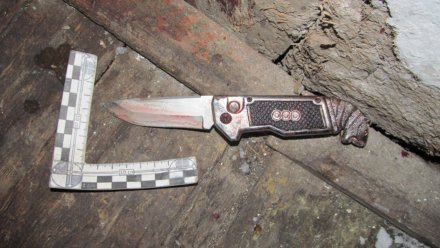 Прокуроры попросили 20 лет для воронежского сельчанина, ударившего друга 28 раз ножом