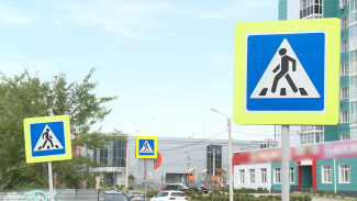 Школы Воронежа обезопасят от ДТП к 1 сентября