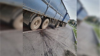 В Воронежской области под колёсами фуры погиб мотоциклист