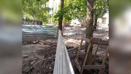 В Воронеже на стройплощадке у музея ВДВ заметили окружённое мусором дерево
