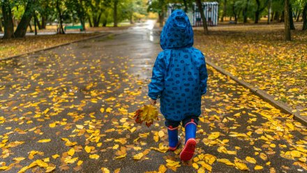 Метеорологи пообещали дождливые и ветреные выходные в Воронежской области