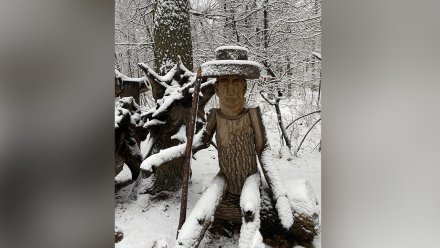 Лыжники, юрта и дом Бабы-яги. Воронежцы показали причудливые арт-объекты в «Олимпике»