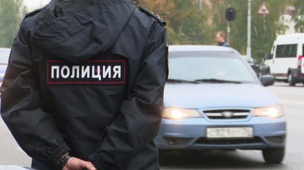 В праздничные дни в Воронежской области пройдут рейды ГИБДД