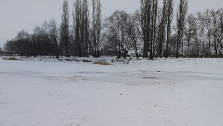 Под Воронежем двое подростков провалились под лёд