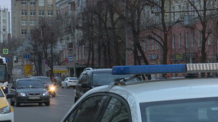 В Воронежской области два человека получили травмы в съехавшей в кювет иномарке