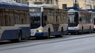 Количество троллейбусных маршрутов увеличат в Воронеже с четырёх до семи