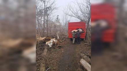 В Воронеже убрали огромную свалку в Северном лесу