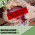 Воронежских охотников предупредили о кишащих паразитами диких птицах
