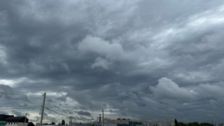 Жара сменится затяжными дождями в Воронежской области 