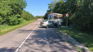 Водитель автобуса получил 2 года колонии за смертельное ДТП в Подгоренском районе