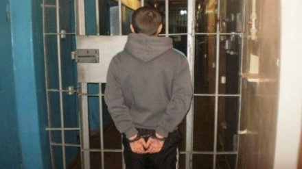 Под Воронежем троих подростков осудили за убийство прохожего, сделавшего замечание