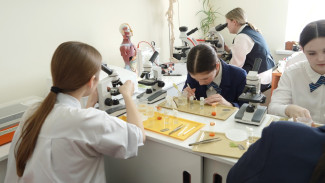 В воронежских школах откроют ещё 71 агрокласс