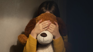 В Воронеже тамбовчанина осудили на 18 лет за совращение маленьких дочерей