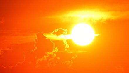Жителей Воронежской области предупредили об усилении жары до +36 градусов в День знаний