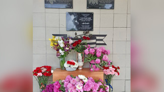 На воронежской школе появилась мемориальная доска в честь погибшего на СВО выпускника