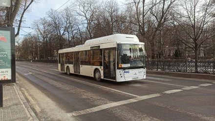 На улицах Воронежа появились новые автобусы большого класса