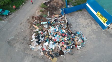 «Страшная вонь и громадные крысы». Воронежцы сообщили об огромной свалке в частном секторе