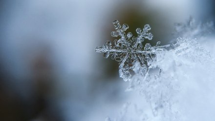 Синоптики дали прогноз на первый рабочий день года в Воронежской области