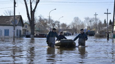 Под Воронежем ещё в трёх населённых пунктах из-за паводка ввели режим ЧС