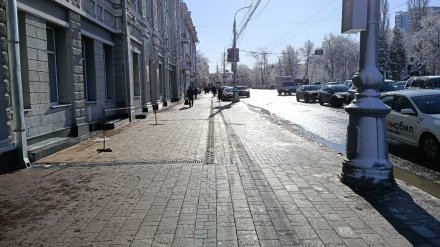 Воронежцев возмутили идеально расчищенные тротуары возле мэрии
