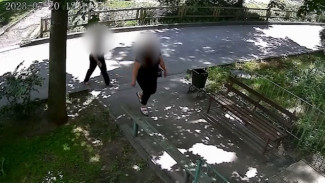В Воронеже задержали воровок, проникавших в квартиры стариков под видом работниц соцслужбы