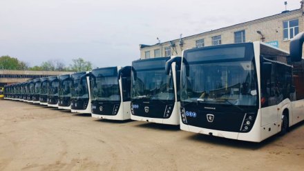 В Воронеже автобус №69 вернётся на Московский проспект