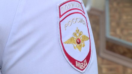 Женщину из Воронежской области осудили на 2 года за нападение на полицейских