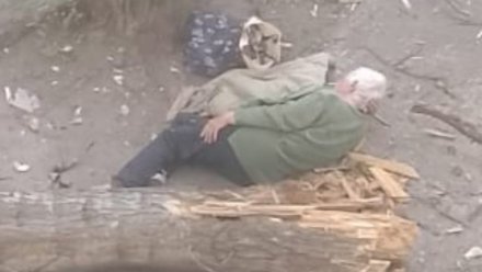 Пострадавшей при падении дерева в Воронеже оказалась 92-летняя женщина