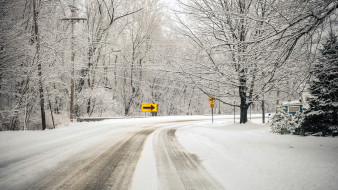 Морозы, мокрый снег и дожди спрогнозировали на новой рабочей неделе в Воронеже
