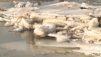 В Воронежской области понтонный мост через Дон сорвало льдом