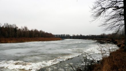 Ледоход на воронежской реке Хопёр показали на фото