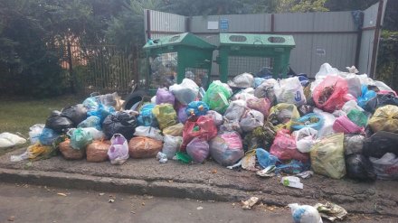Около детского сада в одном из воронежских дворов появилась огромная свалка