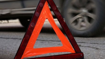 В Воронежской области идущий по трассе пешеход попал под два автобуса