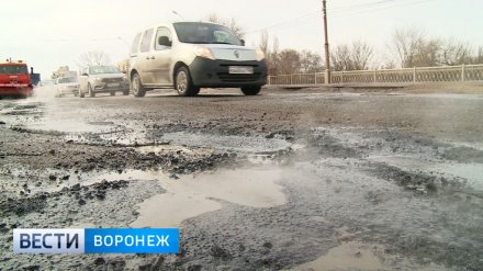 Воронежцы назвали главные проблемы города в 2019 году