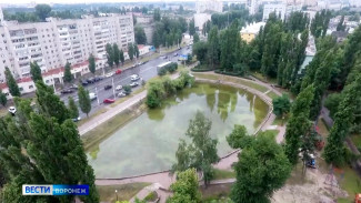 В Воронеже за миллион озеленят сквер у озера на Минской