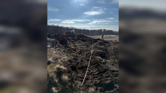 В заказнике «Воронежский» почвам нанесли ущерб на 11 миллионов