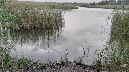 В Воронежской области 17-летний подросток утонул в пруду во время купания с отцом