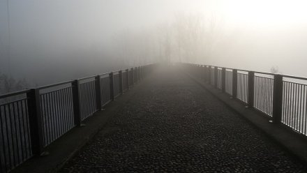 Воронежцев предупредили о накрывшем город опасном тумане 