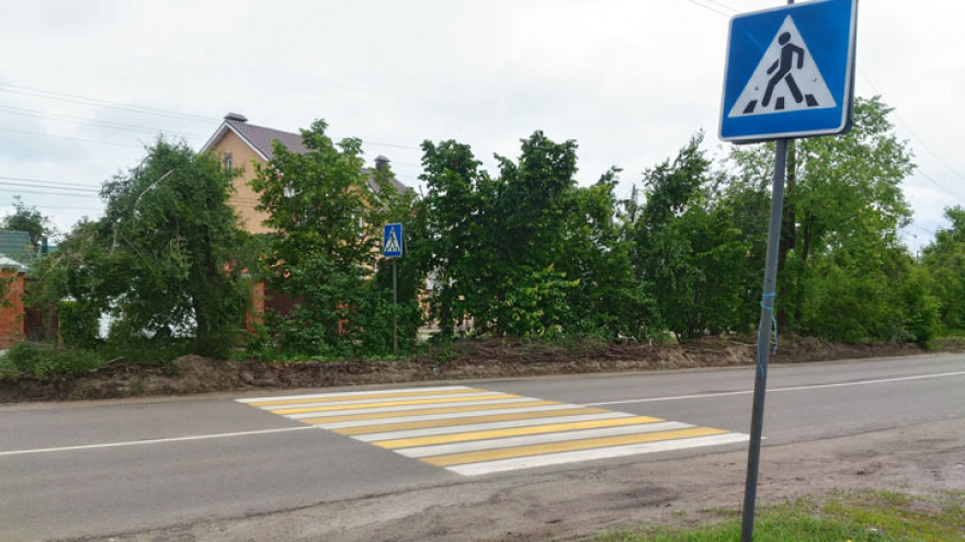 В Воронеже пешеходный переход ведёт в гору грязи и кусты