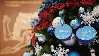 Владимир Путин принял участие во Всероссийской акции «Ёлка желаний»