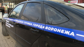В Воронеже возбудили уголовное дело после обнаружения сибирской язвы
