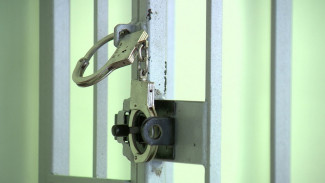 Нововоронежца оставили в СИЗО за расчленение матери
