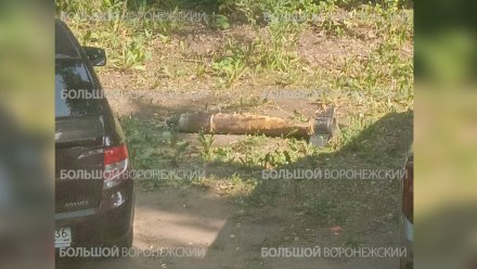 Двор в Воронеже оцепили из-за найденного боеприпаса