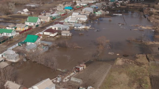 Более 30 населённых пунктов Воронежской области оказались в зоне затопления из-за паводка