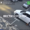 В Воронеже водитель-живодёр ответит в суде за оставление места ДТП