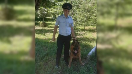 В Воронежской области пёс вышел на след избившего пенсионеров грабителя